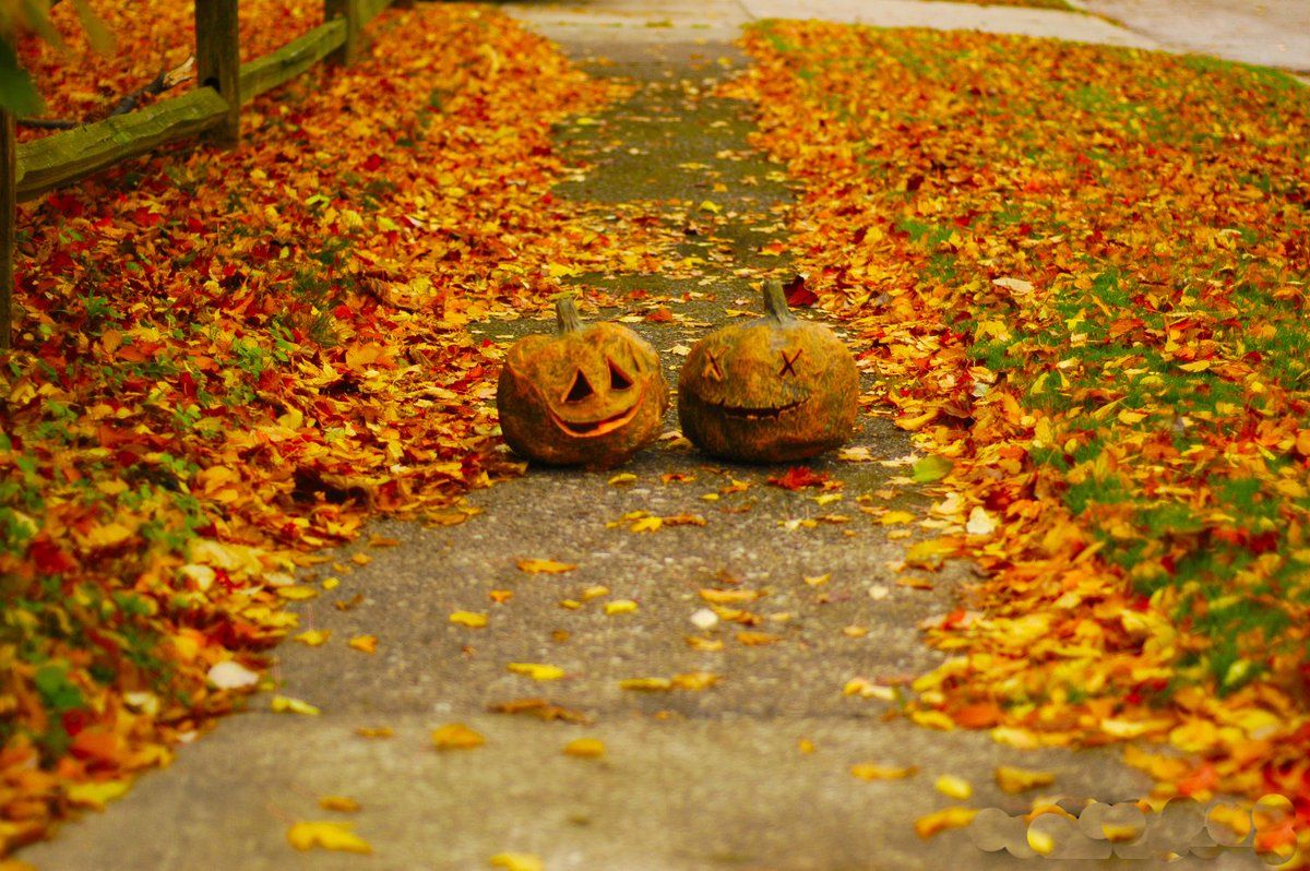 Country Halloween Wallpapers Wallpaper Cave