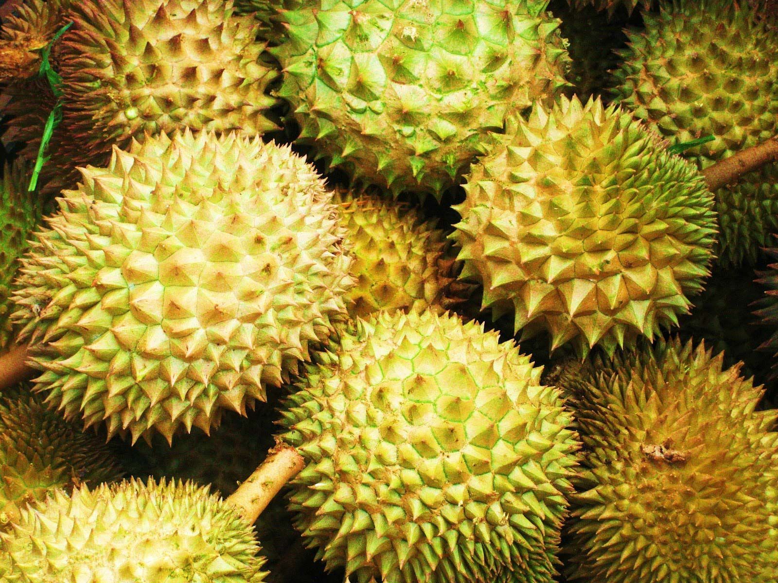 Durian Wallpapers Wallpaper Cave