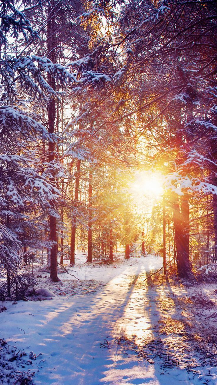 Winter Mobile HD Wallpapers Wallpaper Cave