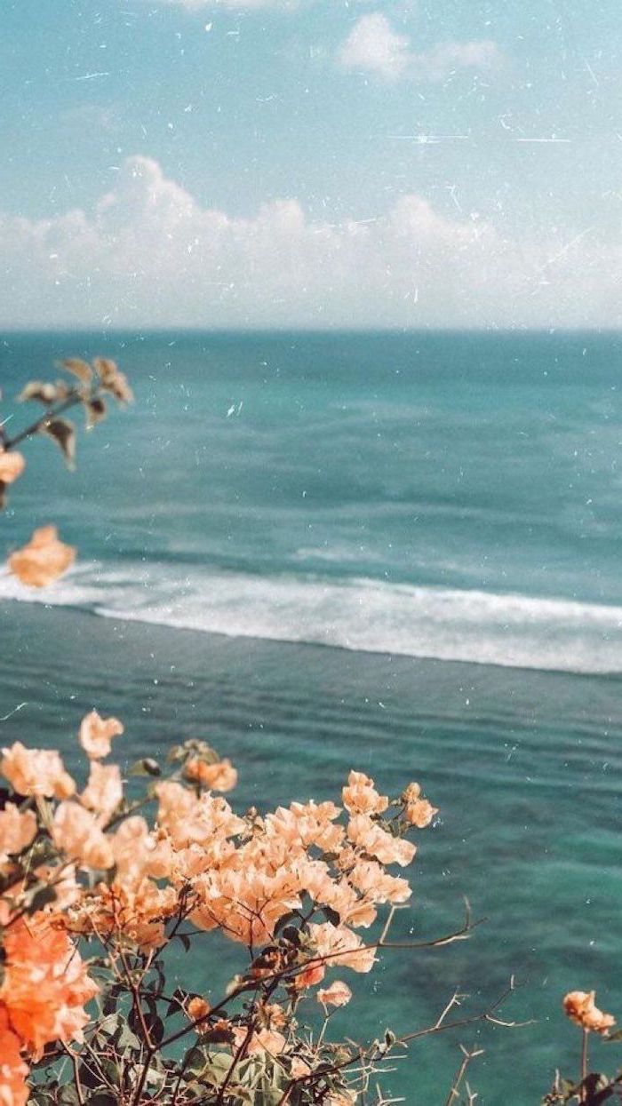 Pretty Aesthetic VSCO Wallpapers Wallpaper Cave