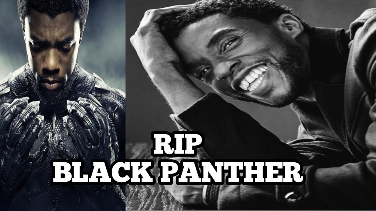 Black Panther RIP Wallpapers Wallpaper Cave