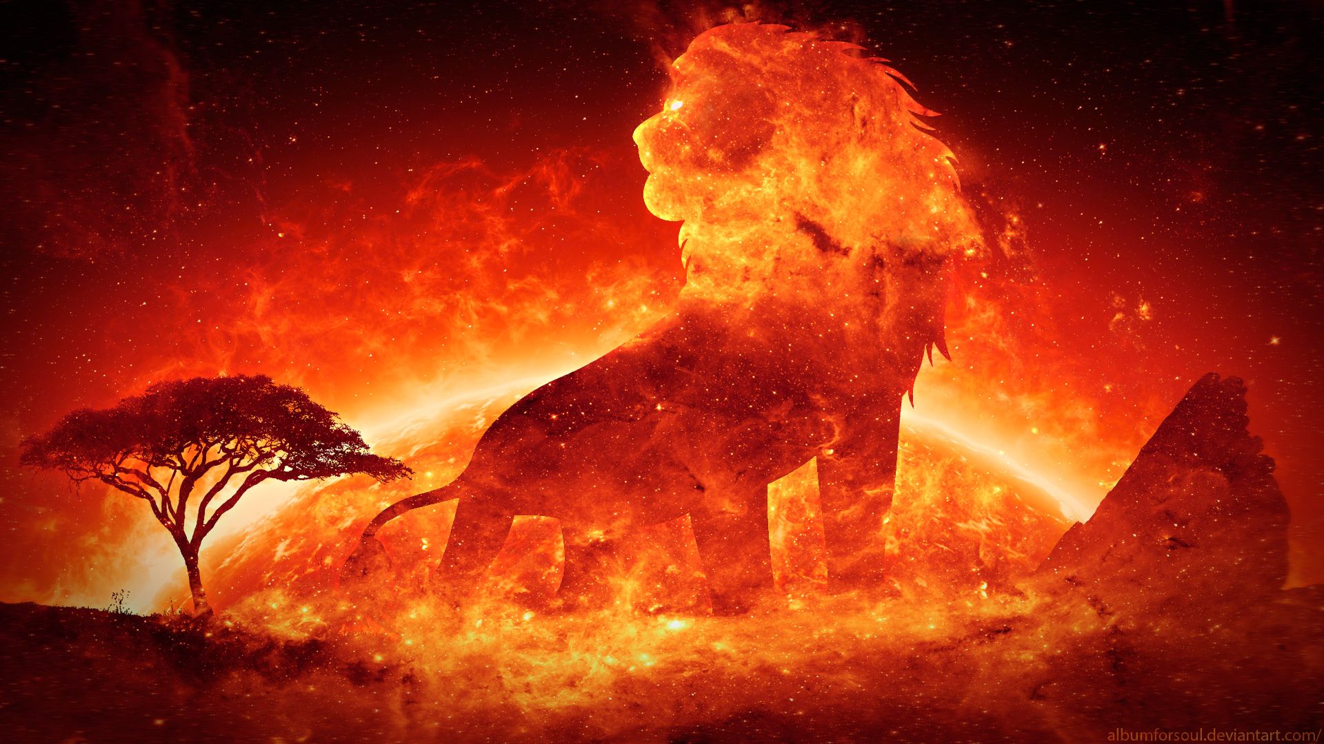 Lion Fire Wallpapers Wallpaper Cave