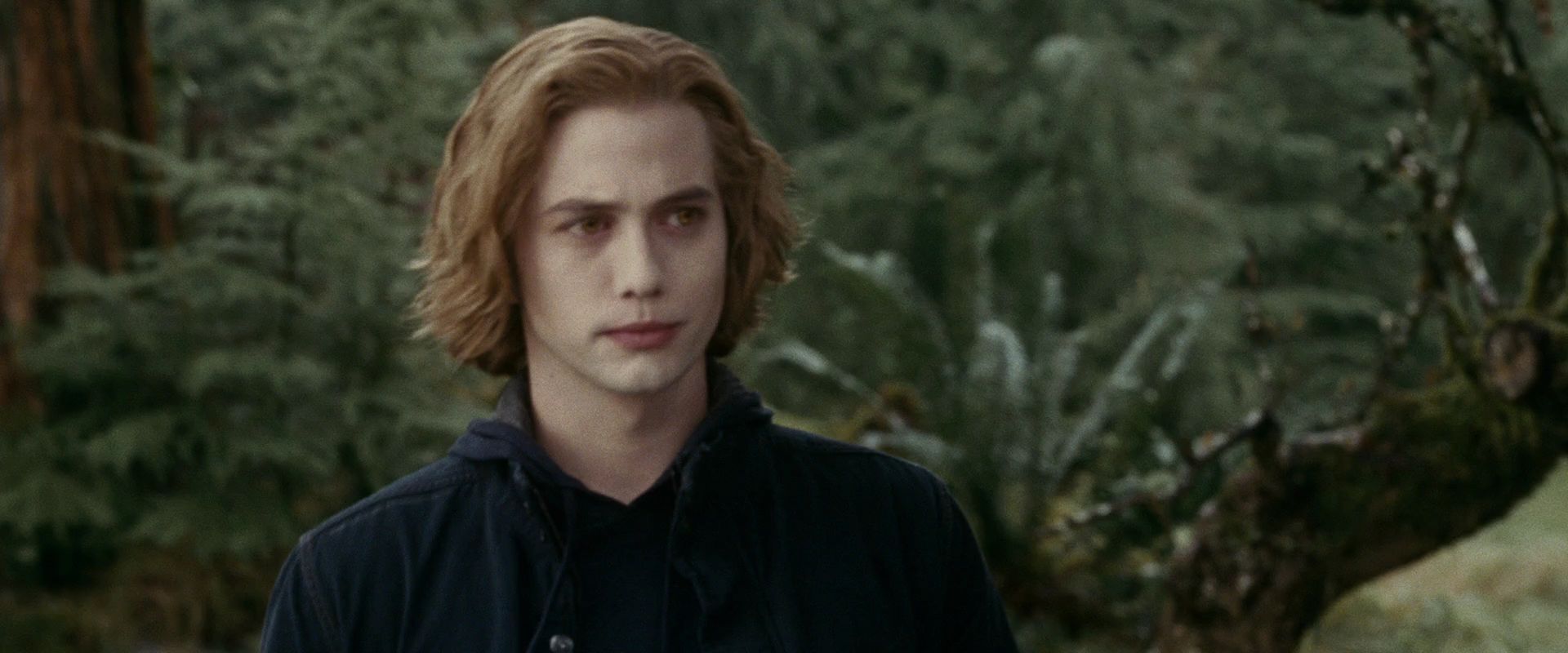 Jasper Hale Wallpapers Wallpaper Cave