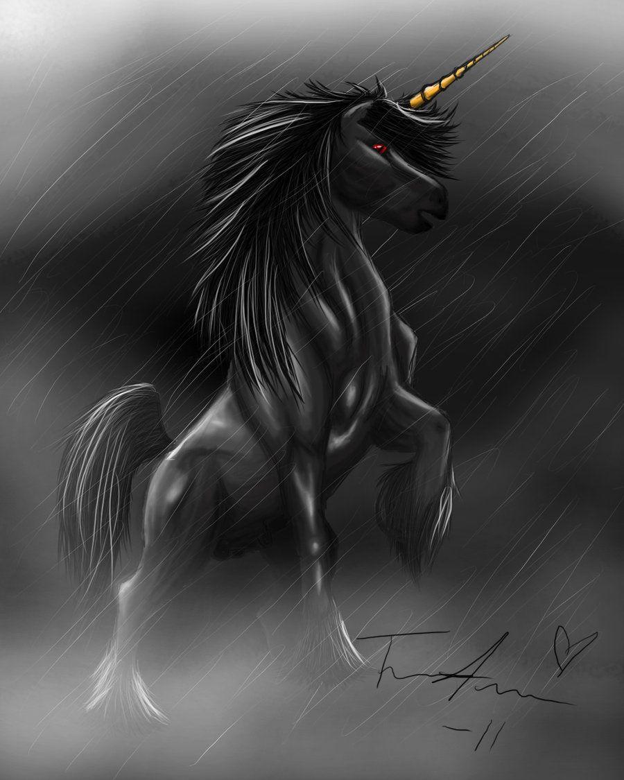 Black Unicorn Wallpapers Wallpaper Cave