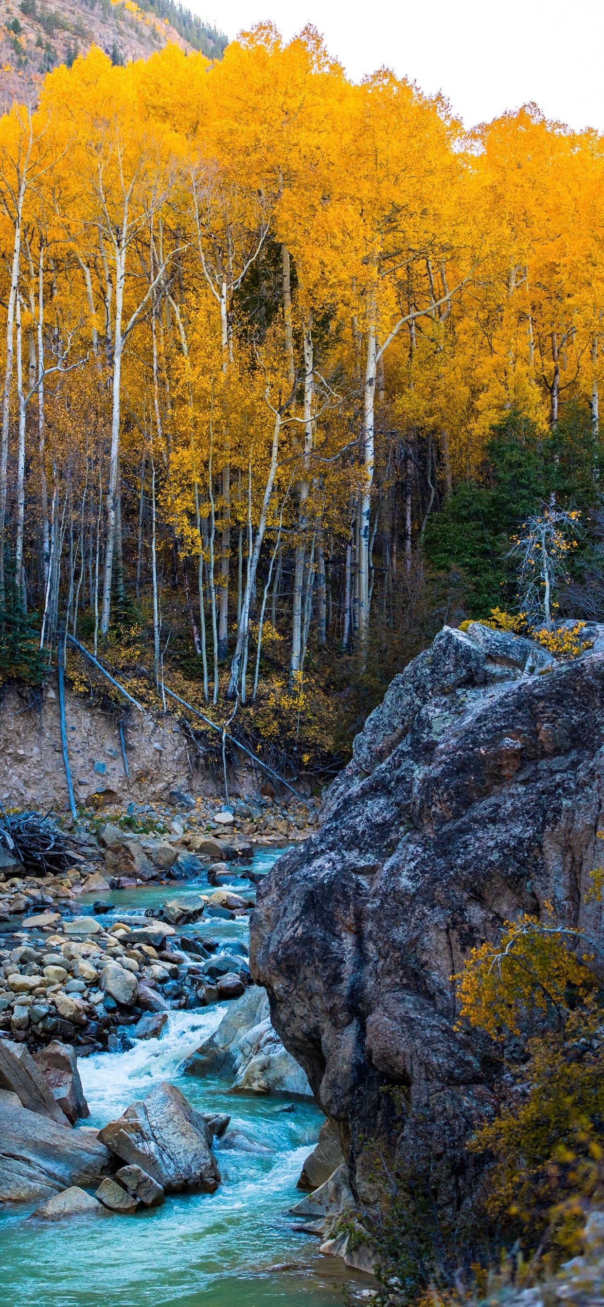 Autumn Wilderness Wallpapers Wallpaper Cave