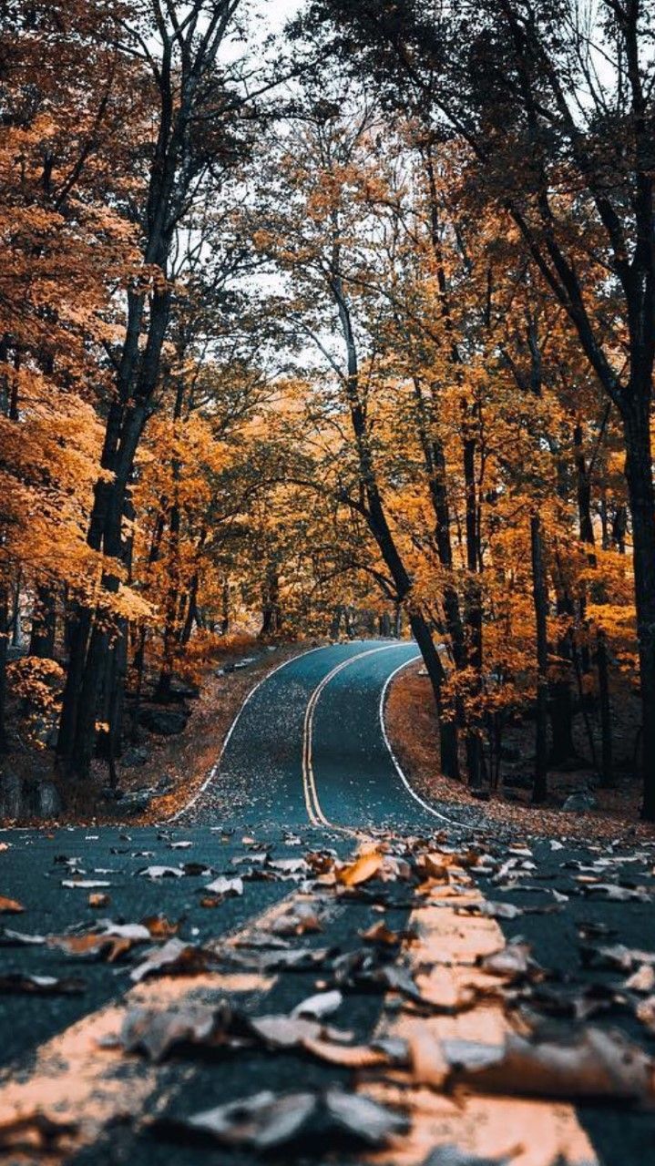 Winter Cute Roads Wallpapers Wallpaper Cave