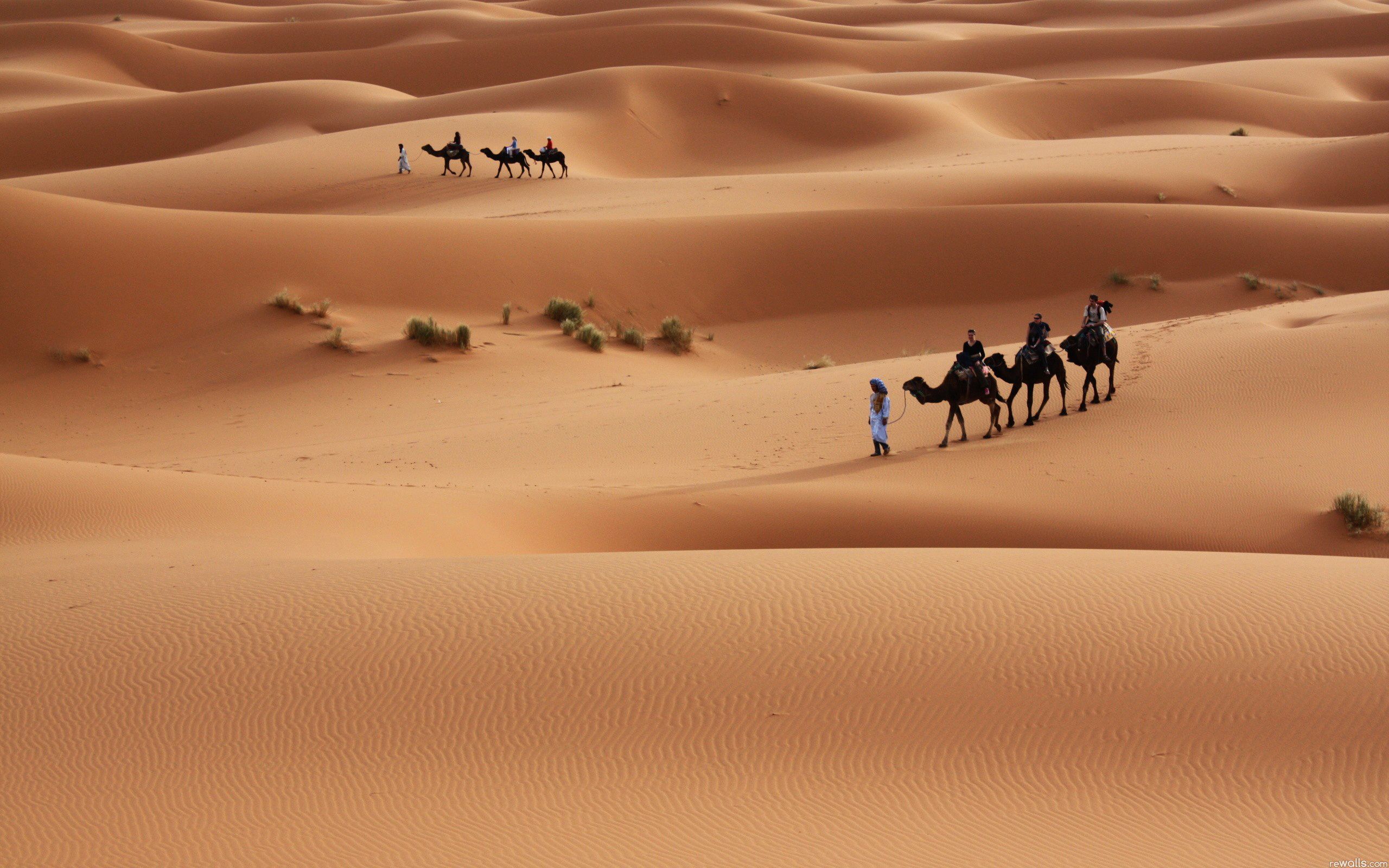 Sahara Desert HD Wallpapers Wallpaper Cave