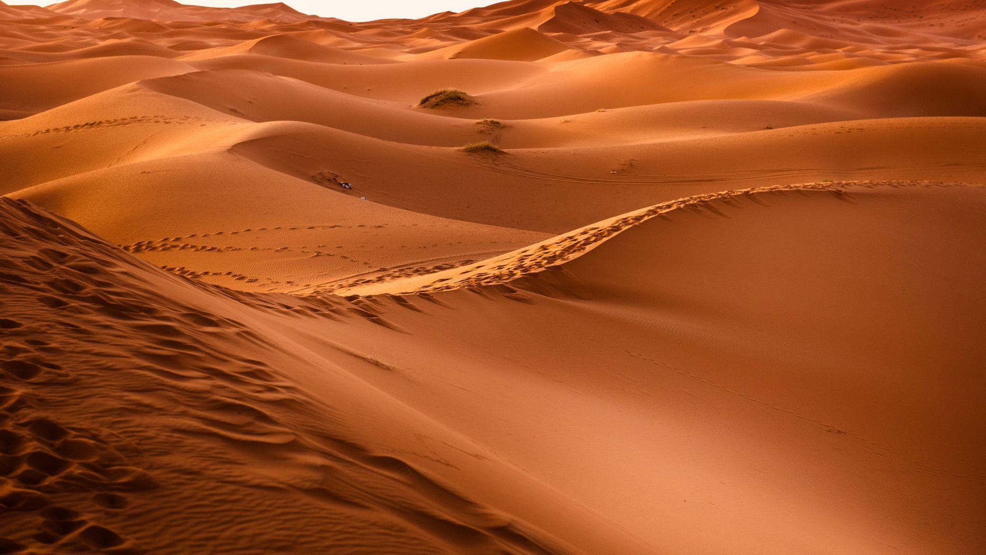 Sahara Desert HD Wallpapers Wallpaper Cave