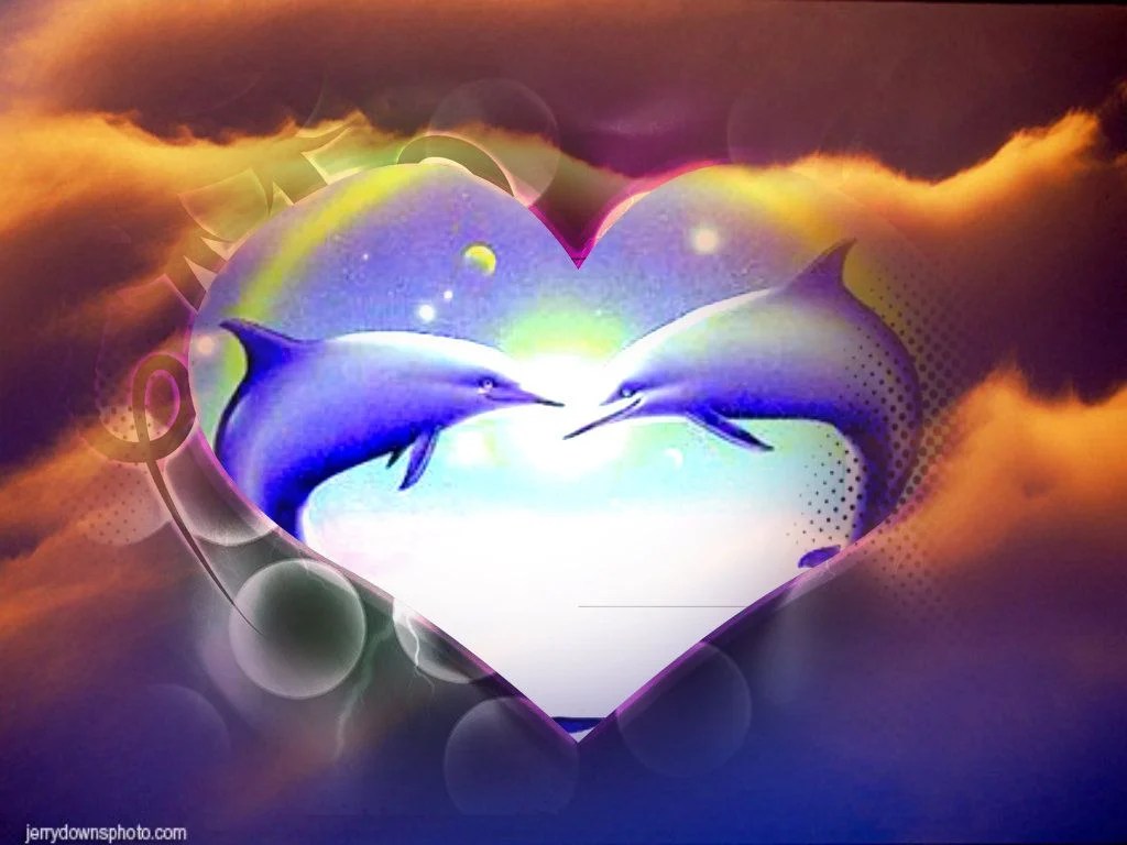 I Love Dolphins Wallpapers Wallpaper Cave