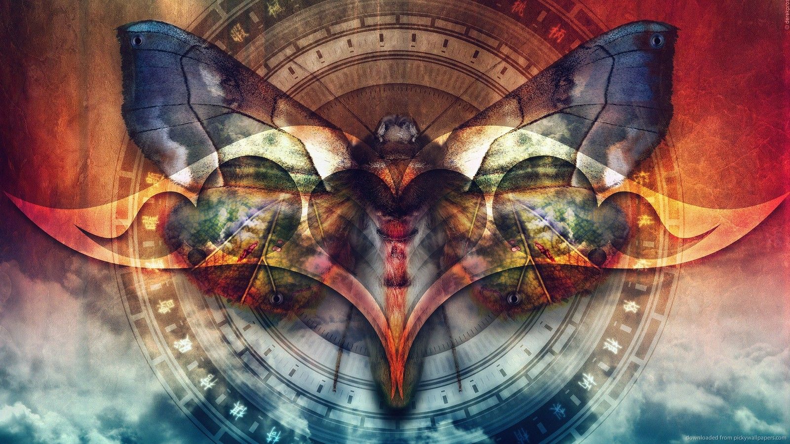 Moth Wallpapers Wallpaper Cave