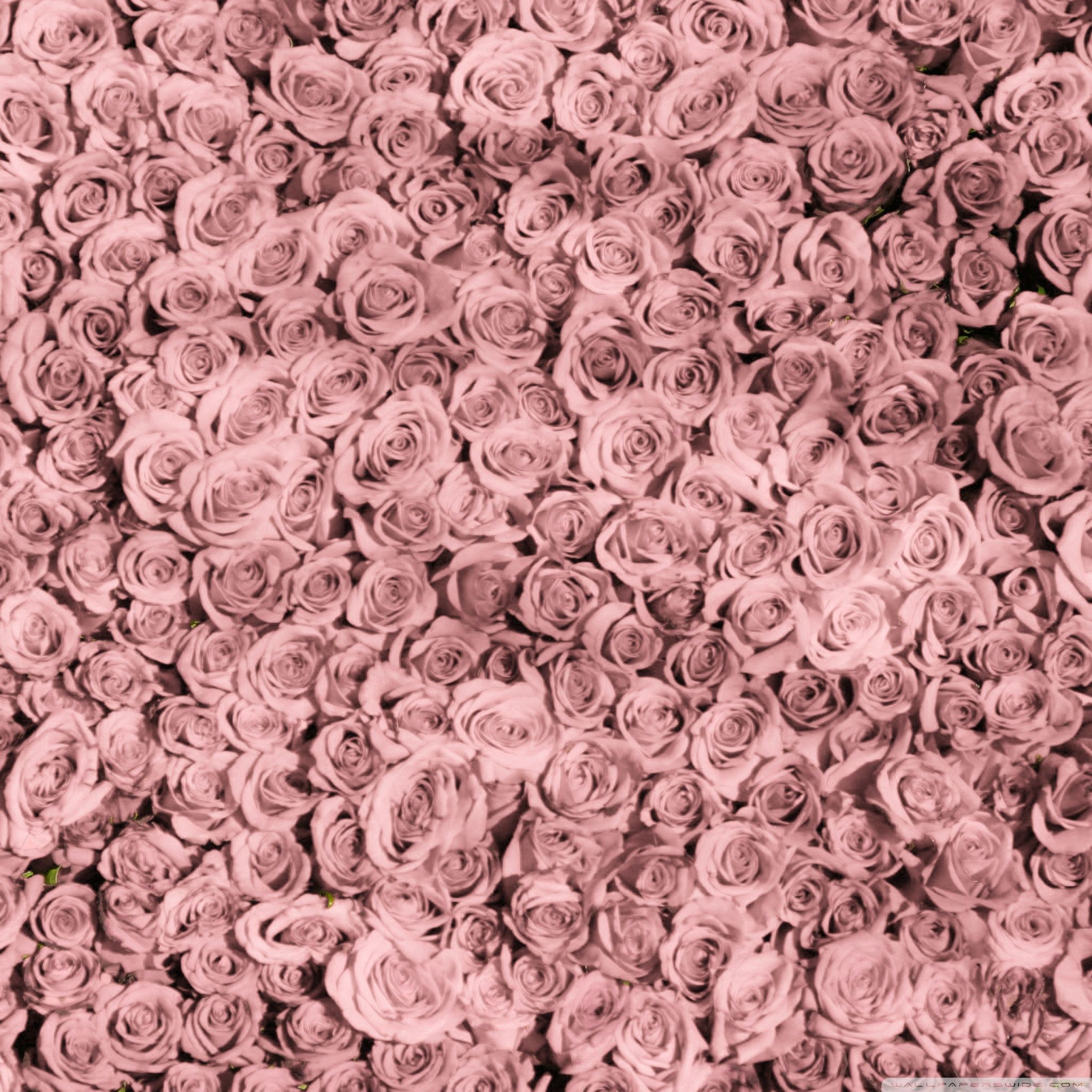 iPad Mini Tumblr HD Wallpapers Wallpaper Cave