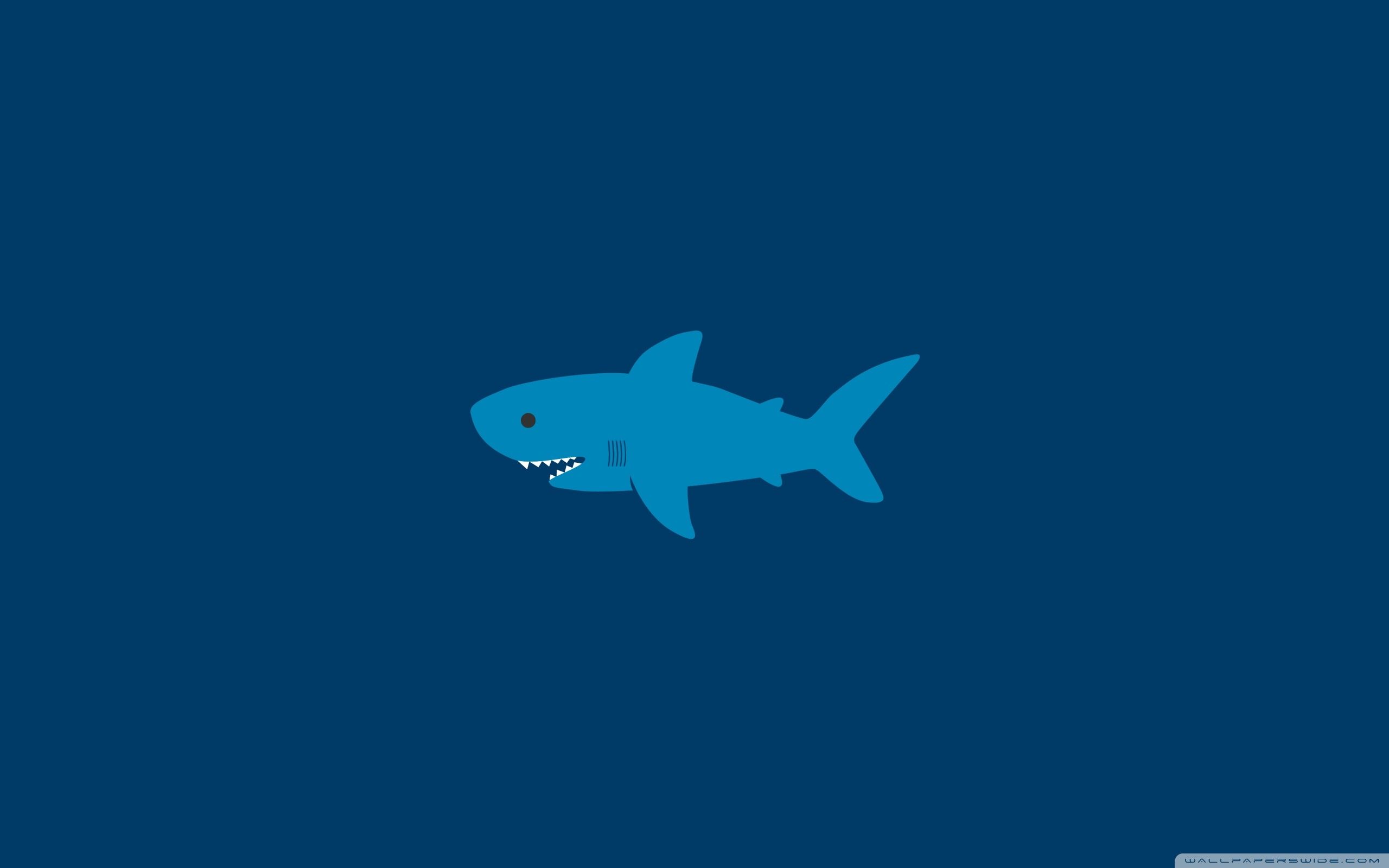 Baby Shark 4k Wallpapers Wallpaper Cave