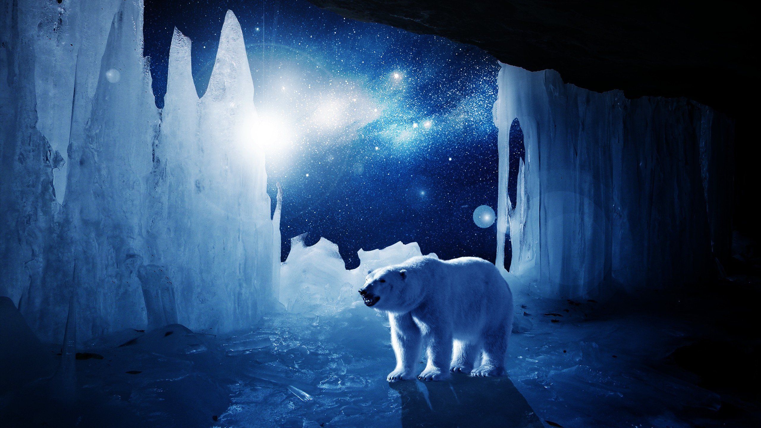 Arctic Blue Wallpapers Wallpaper Cave