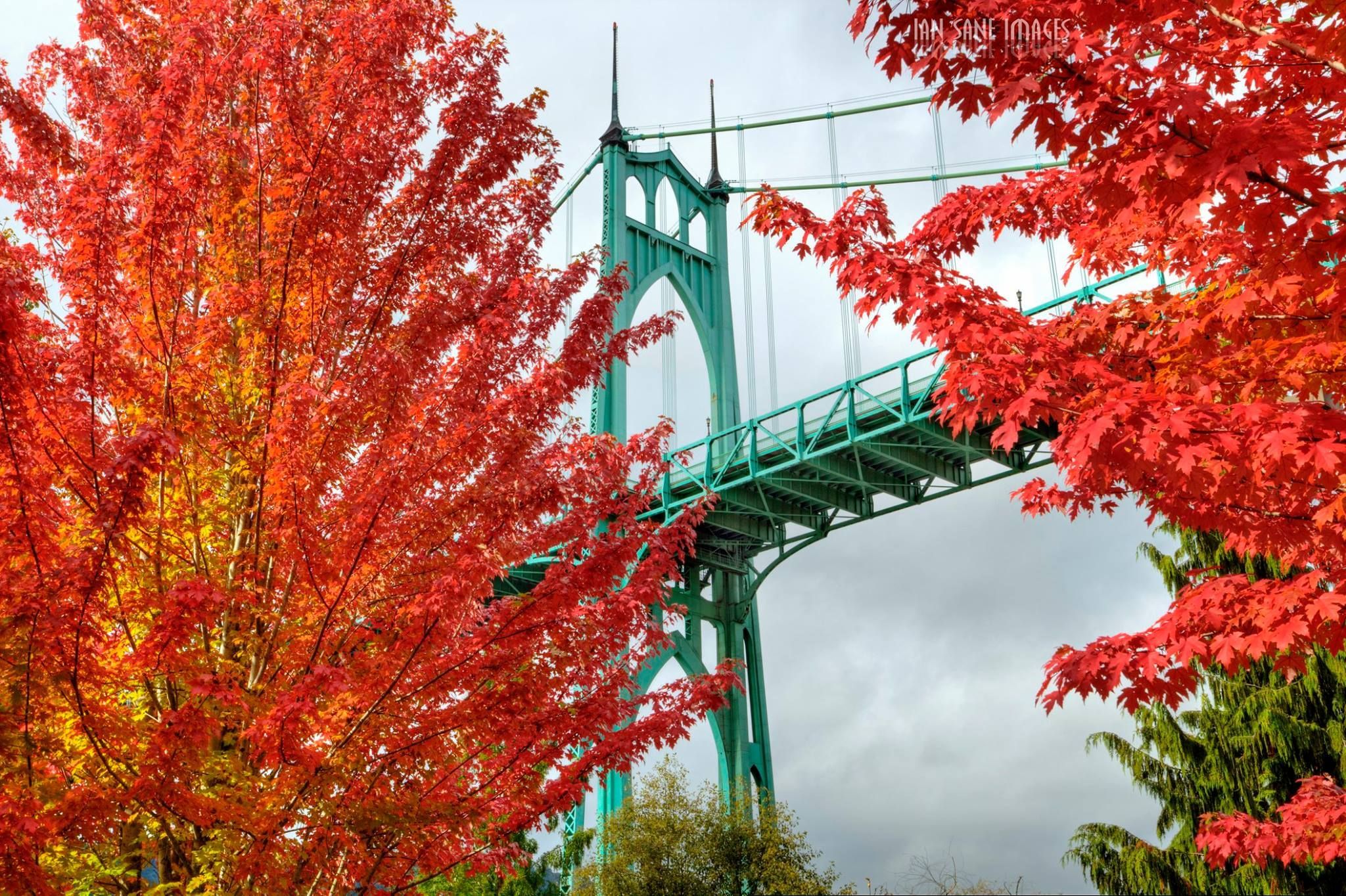 Portland Oregon Autumn Wallpapers Wallpaper Cave