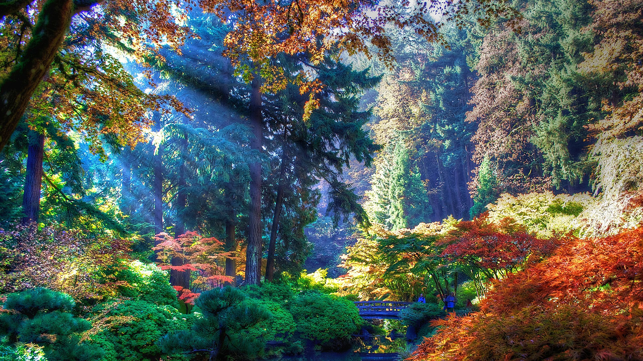 Portland Oregon Autumn Wallpapers Wallpaper Cave
