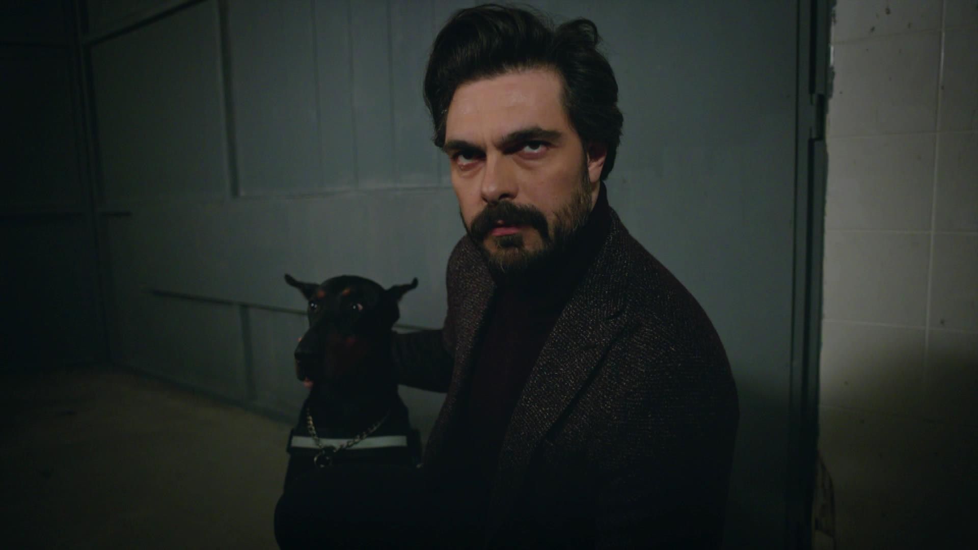 Halil Ibrahim Ceyhan Wallpapers Wallpaper Cave