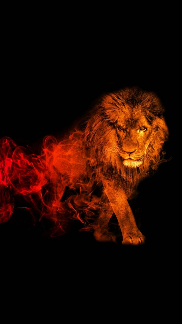 Red Lion Wallpapers Wallpaper Cave