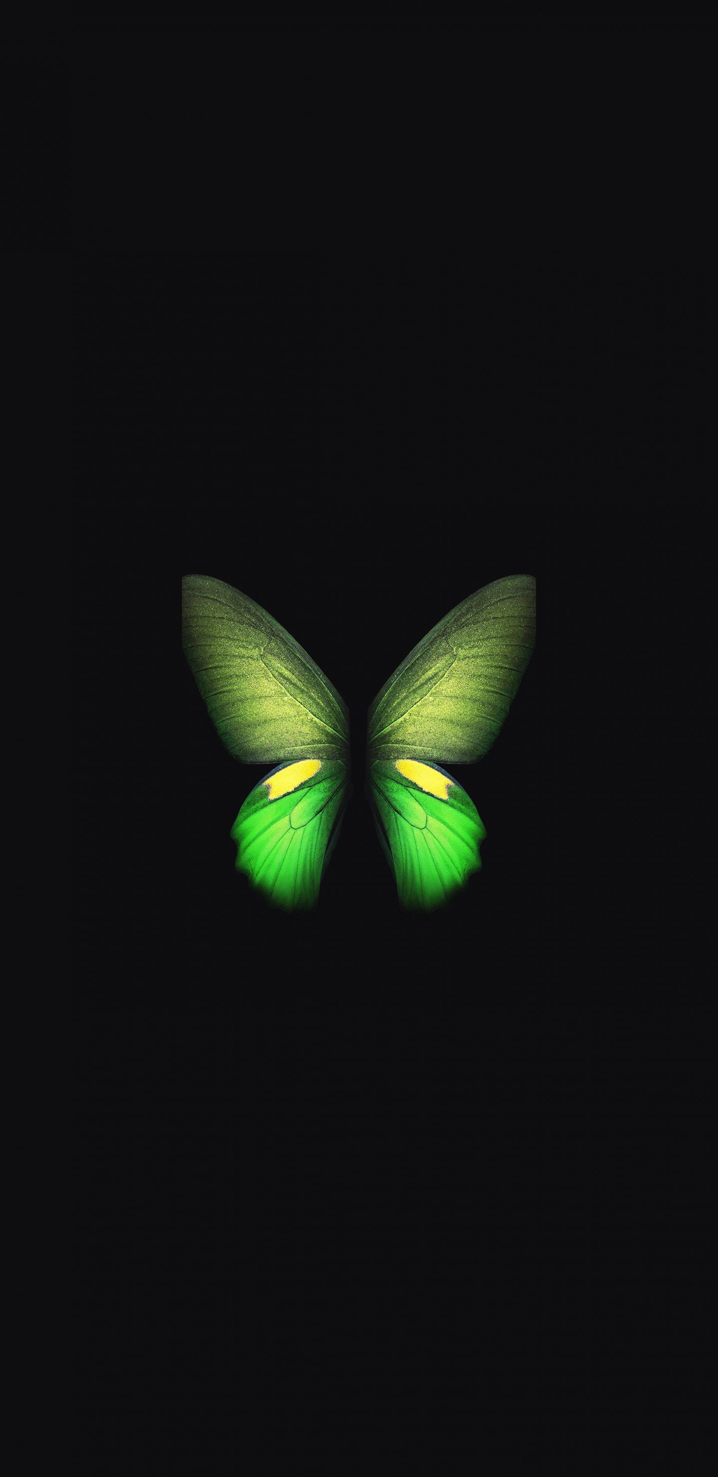 Galaxy Butterfly Wallpapers Wallpaper Cave