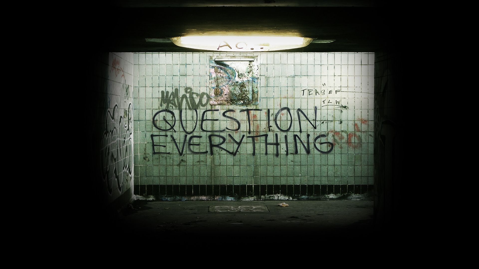 Question Everything Wallpapers Wallpaper Cave