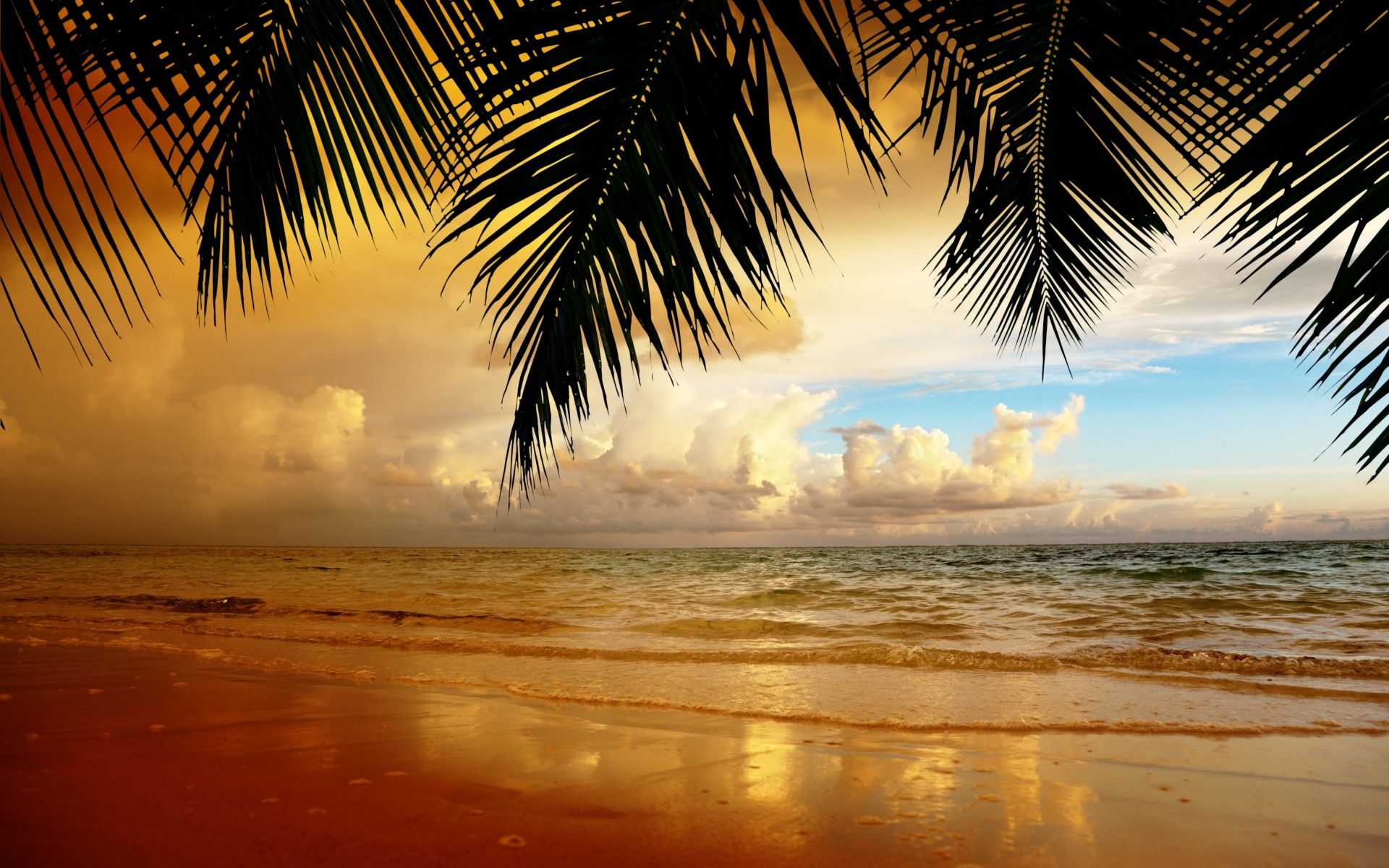 Beach Aesthetic Horizontal Wallpapers Wallpaper Cave