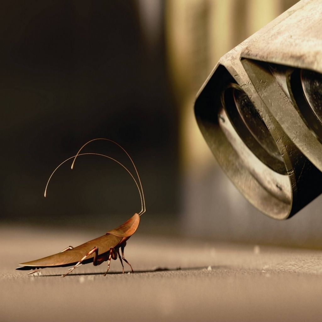 Cockroach Wallpapers Wallpaper Cave
