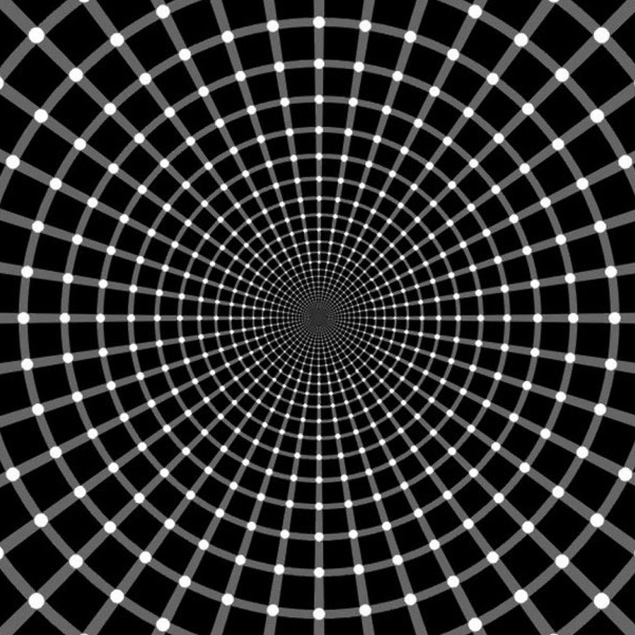 Confusing Wallpapers Wallpaper Cave