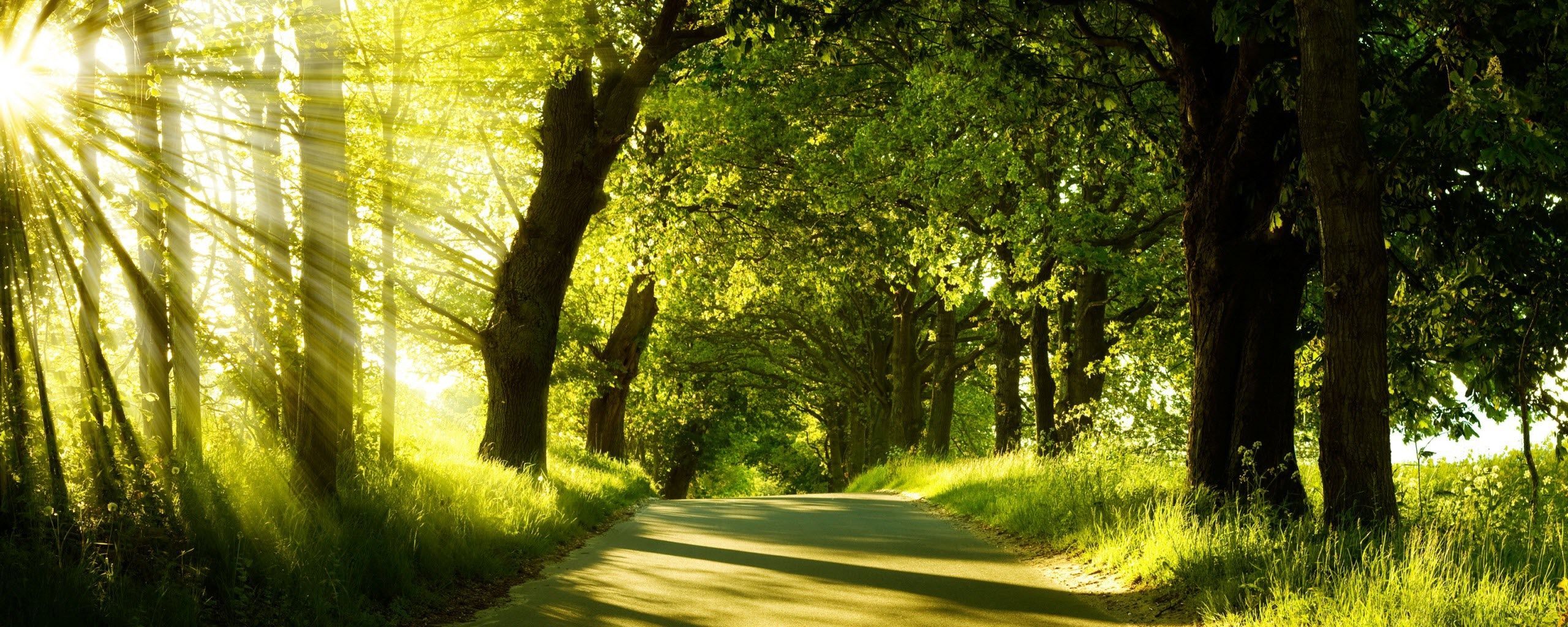 Nature 2021 Wallpapers Wallpaper Cave