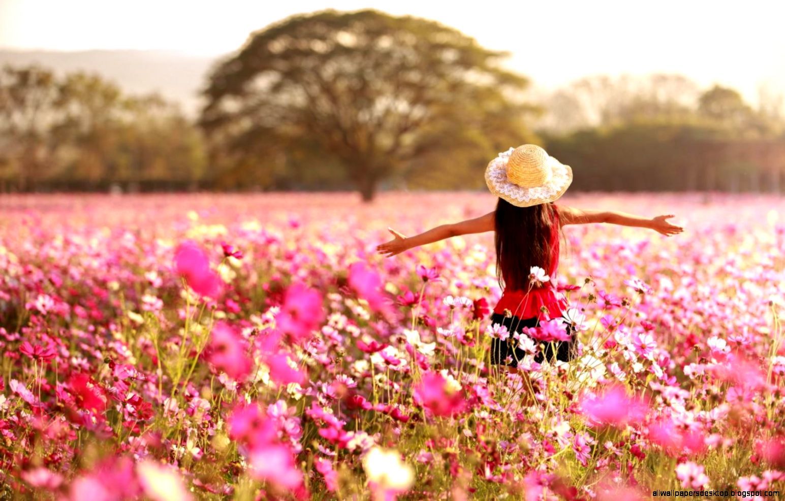 Pink Flower Girl Wallpapers Wallpaper Cave