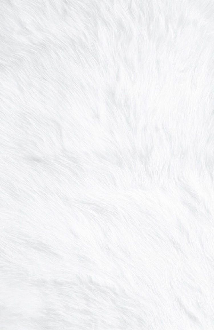 White Blank Wallpapers Wallpaper Cave