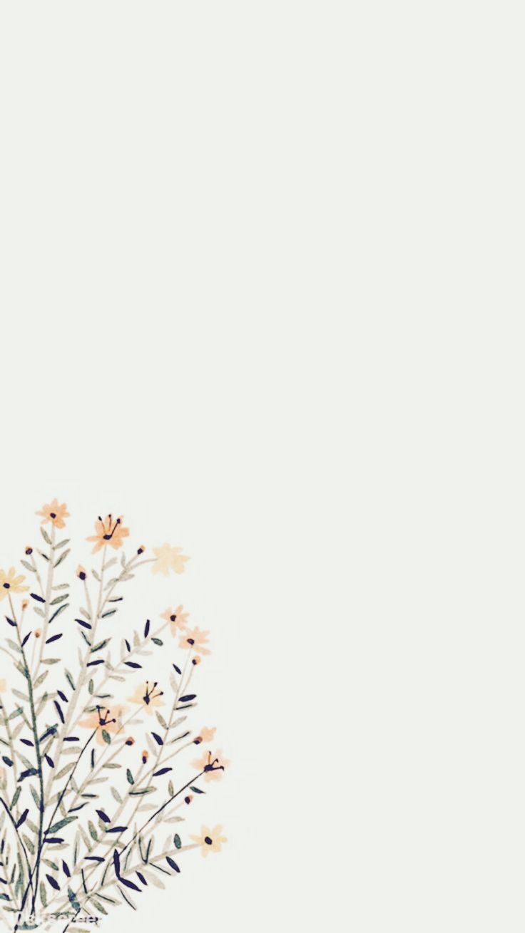 Minimalist Flower Wallpapers Wallpaper Cave