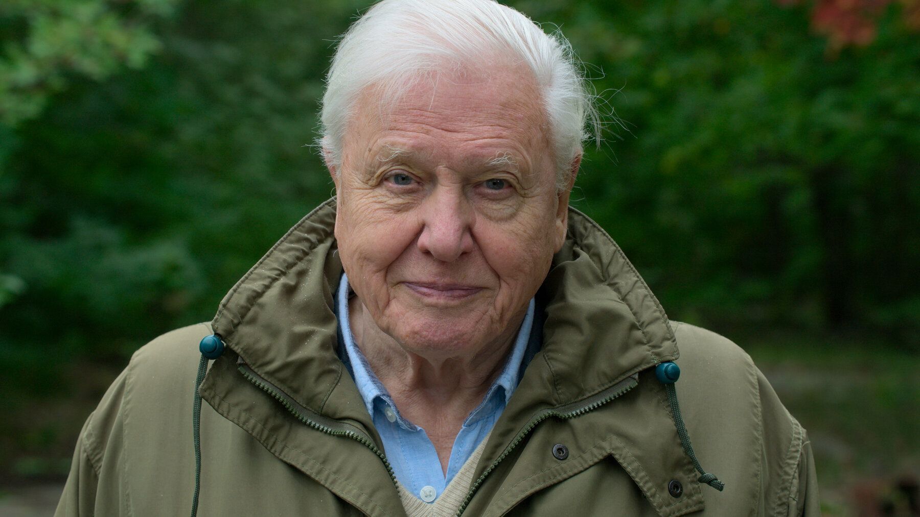 David Attenborough A Life On Our Wallpapers Wallpaper Cave