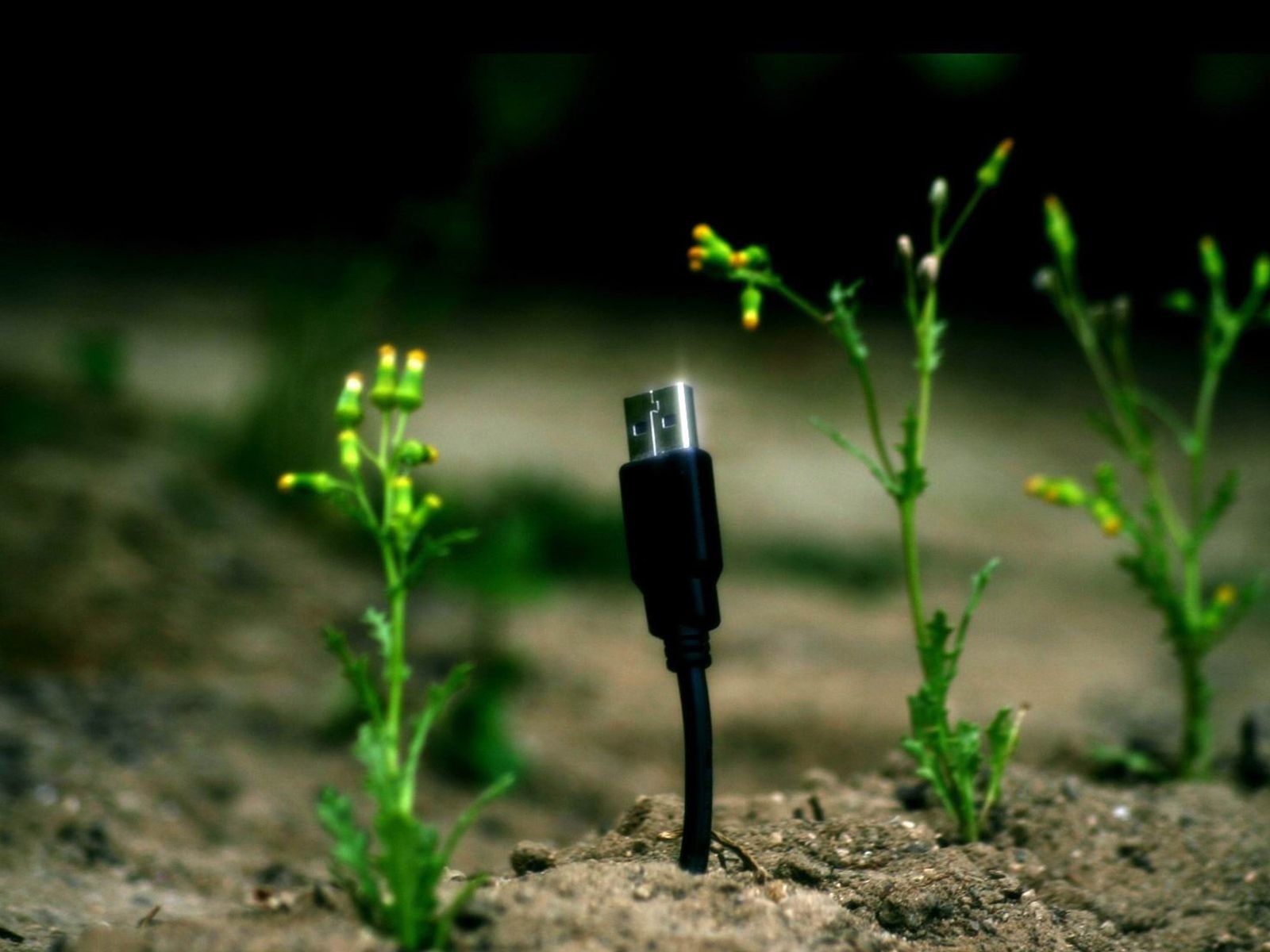 Solutions Wallpapers Wallpaper Cave