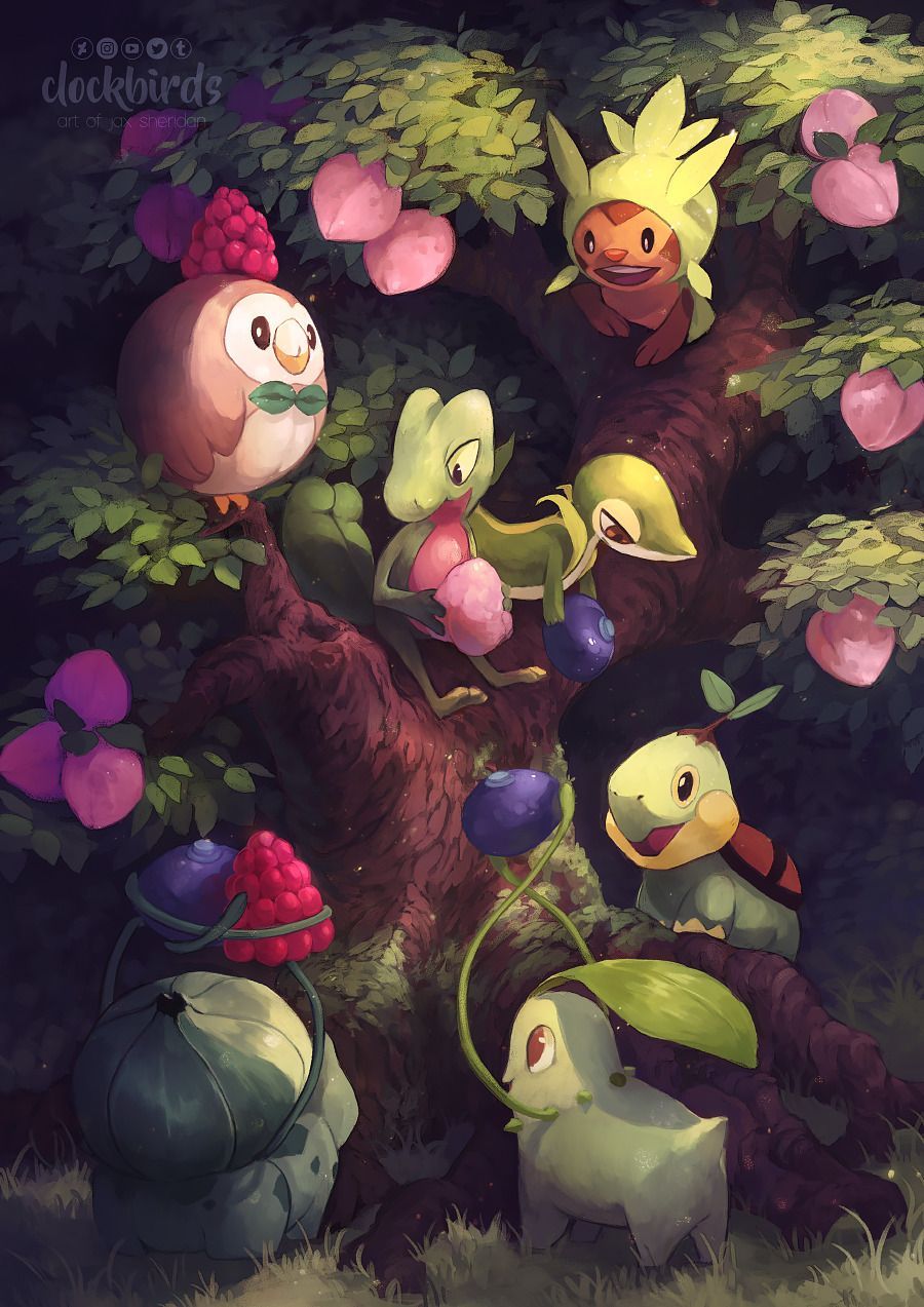 Pokémon Grass Wallpapers Wallpaper Cave