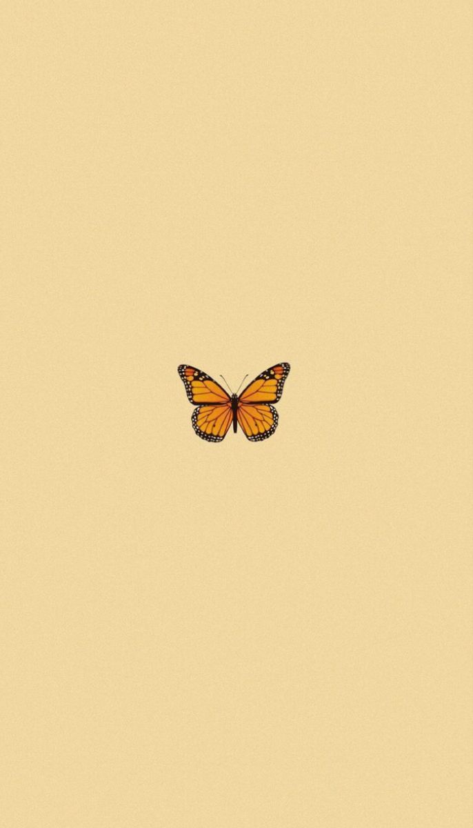 Yellow Butterfly Wallpapers Wallpaper Cave