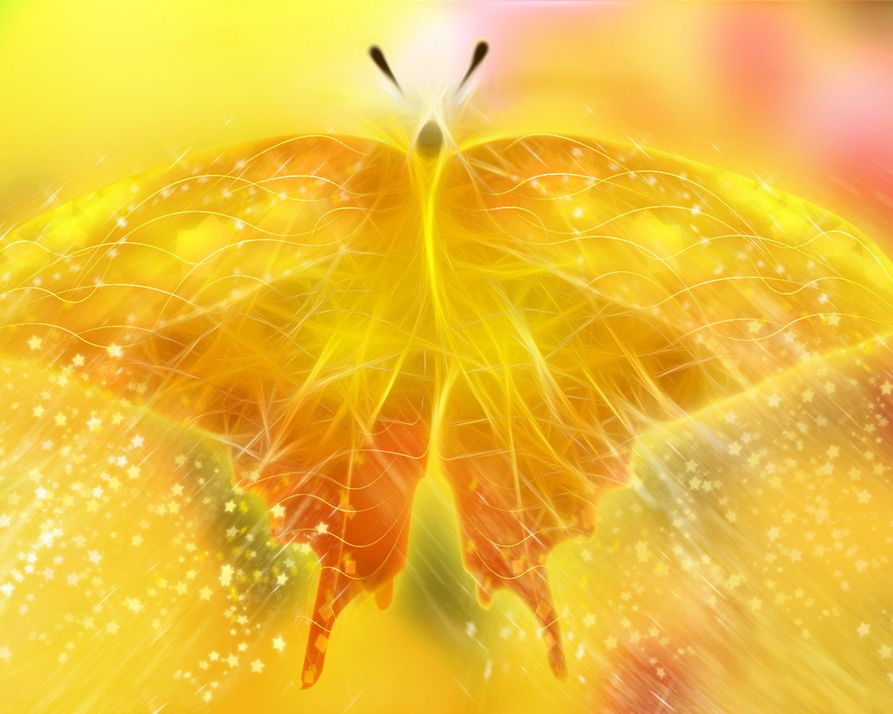 Yellow Butterfly Wallpapers Wallpaper Cave
