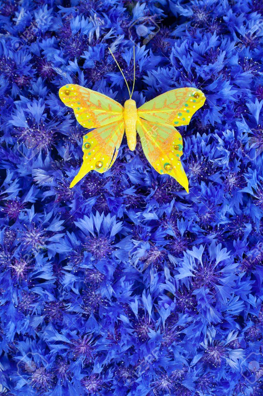 Yellow Butterfly Wallpapers Wallpaper Cave