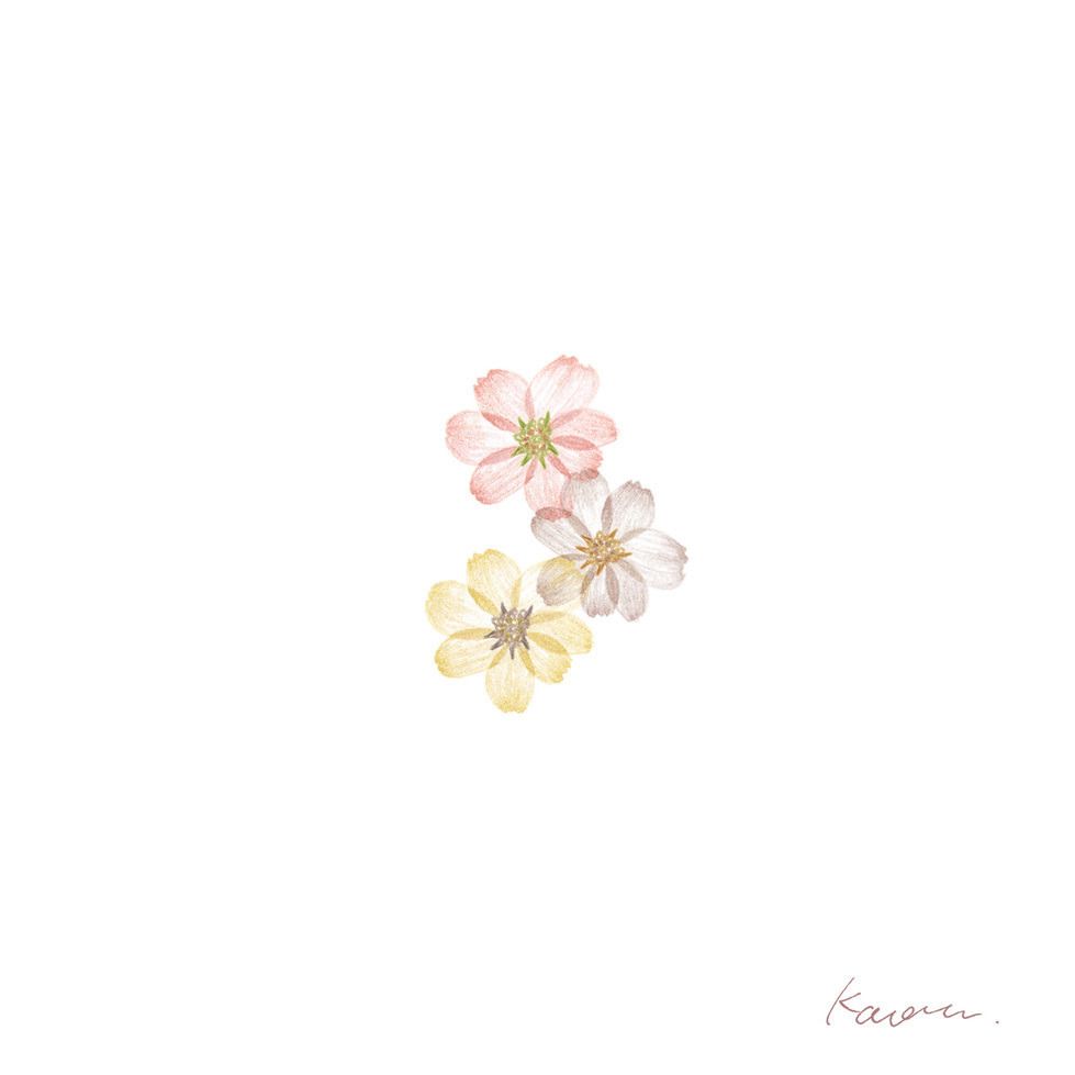 Flower Aesthetic Wallpaper Drawing