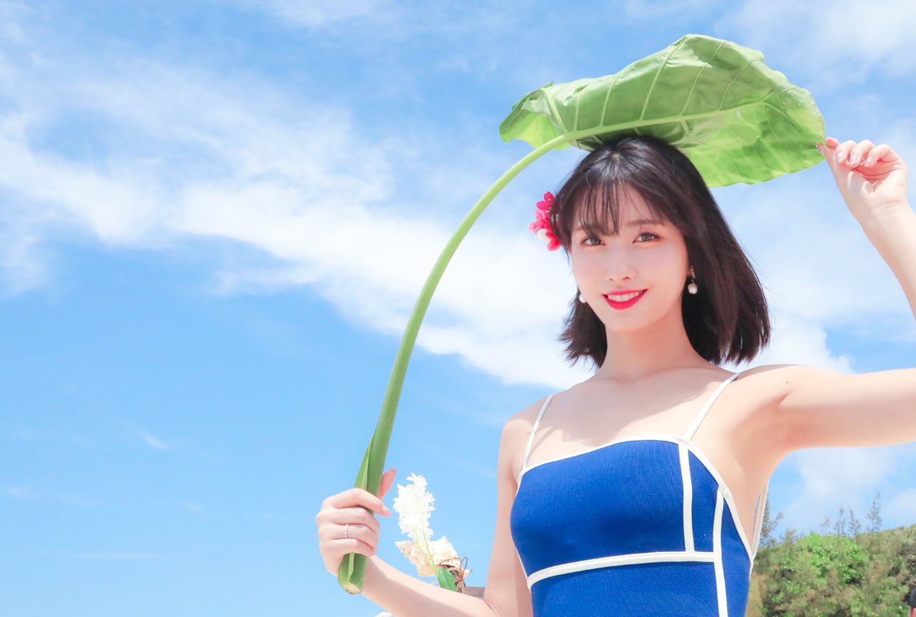 Momo Twice Desktop Wallpapers Wallpaper Cave