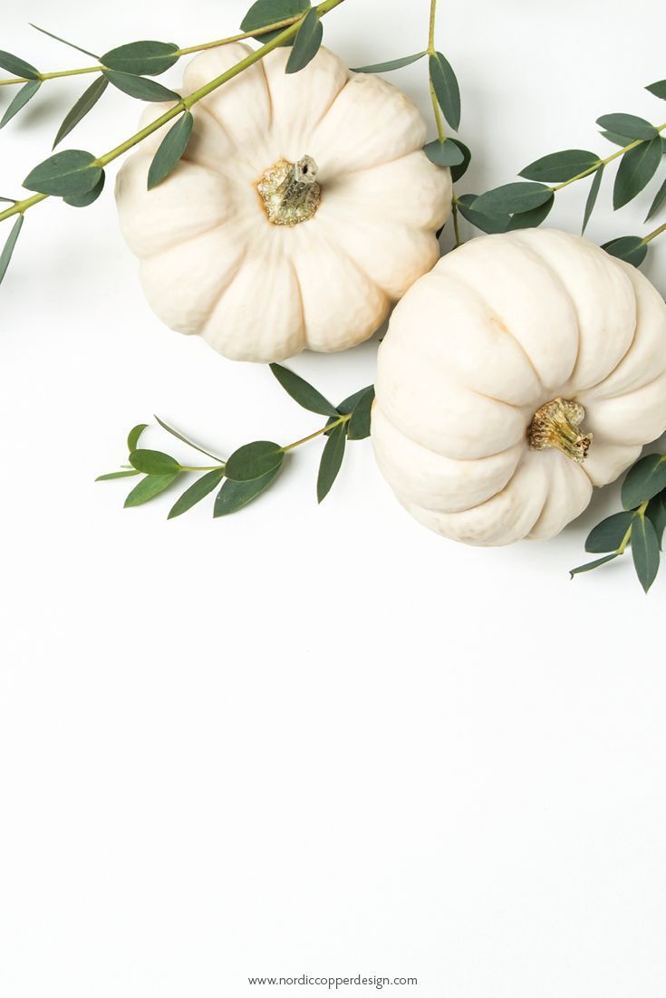 White Pumpkin Wallpapers Wallpaper Cave