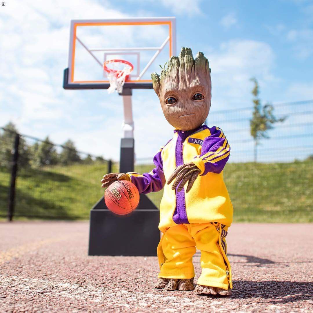 Haut 78 images fond d'écran groot basket fr.thptnganamst.edu.vn