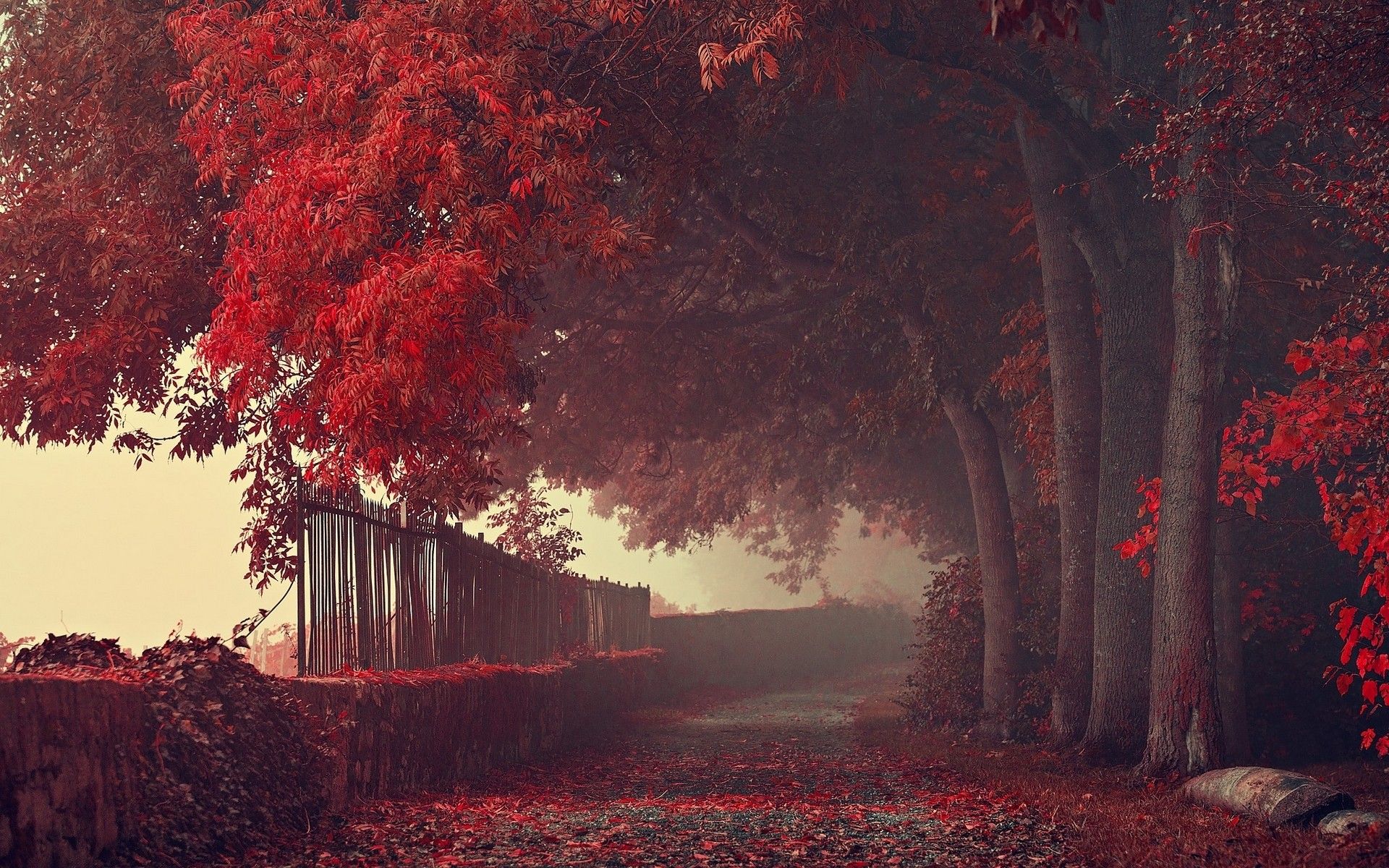 Red Autumn Wallpapers Wallpaper Cave