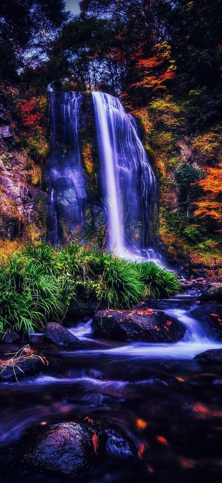 Hd Nature Wallpapers For Android Mobile Full Screen 1080p 41+ Nature