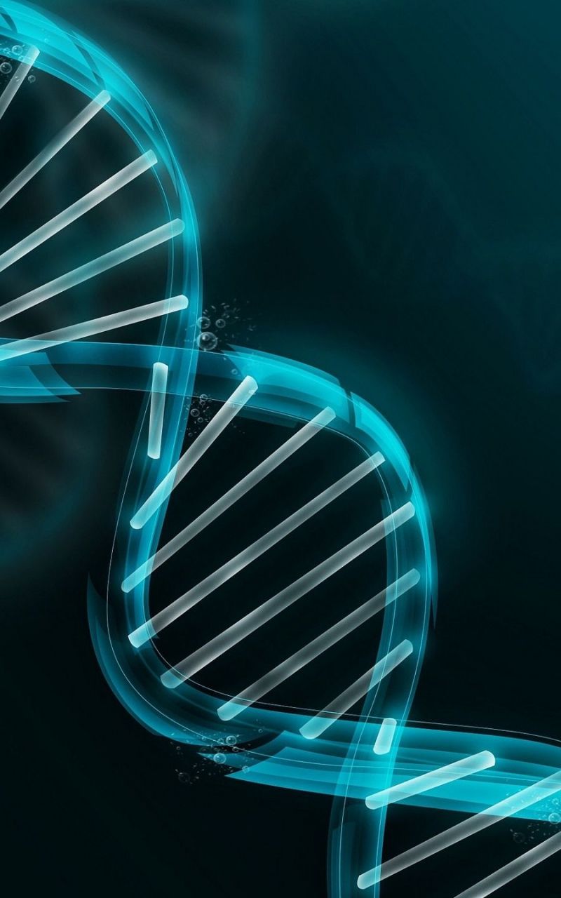 Medical Student Wallpapers Wallpaper Cave