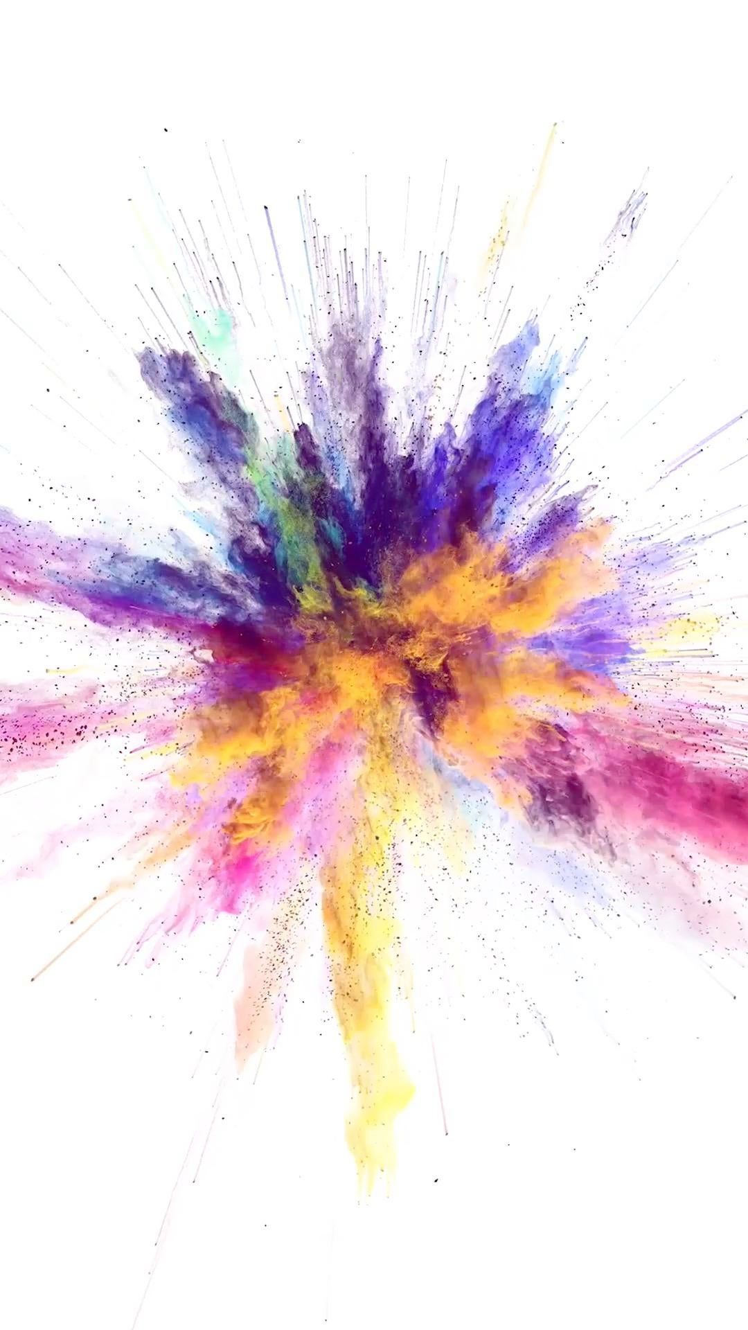 Colour White Wallpapers Wallpaper Cave