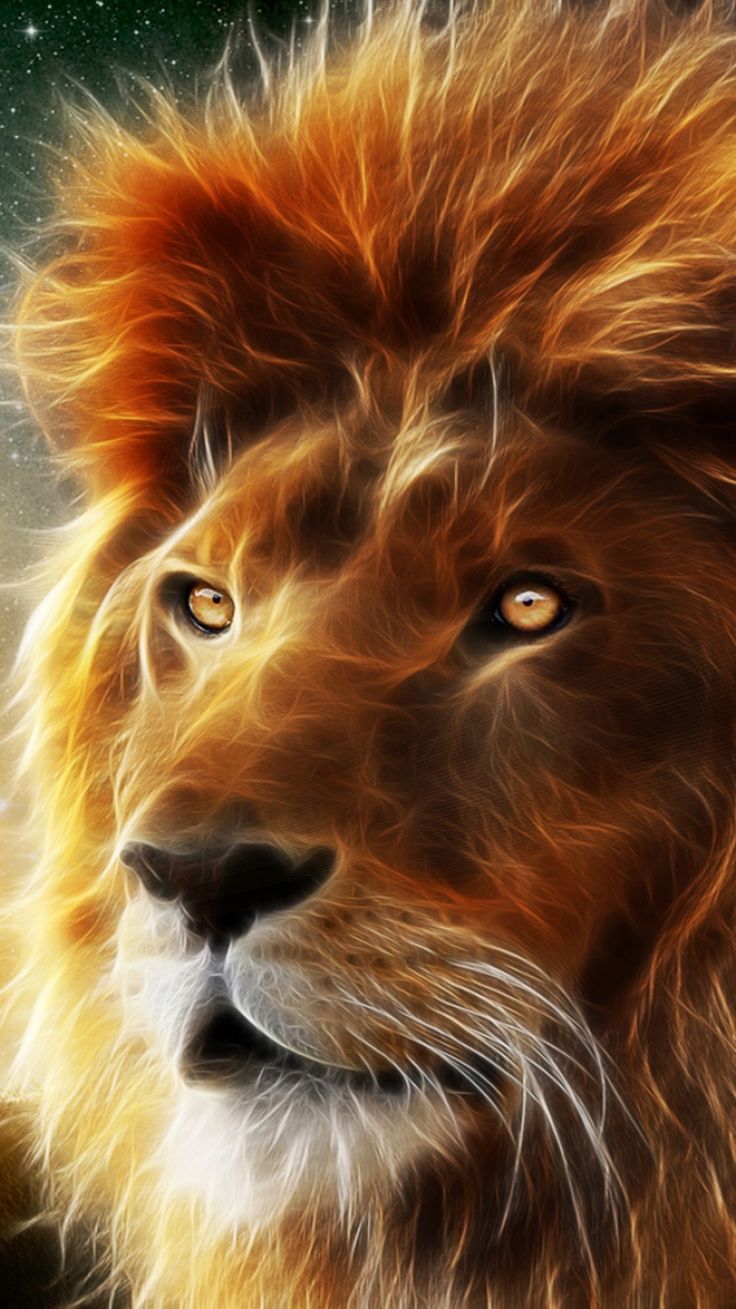 Lion Cartoon Wallpapers Wallpaper Cave