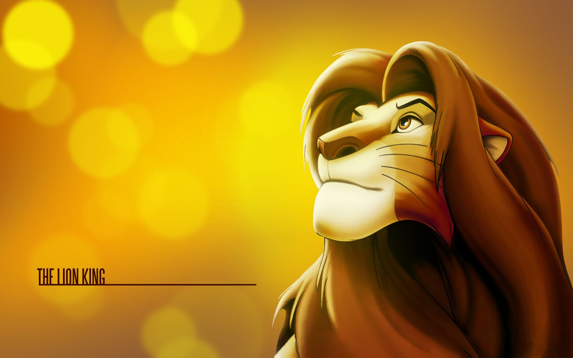 Lion Cartoon Wallpapers Wallpaper Cave