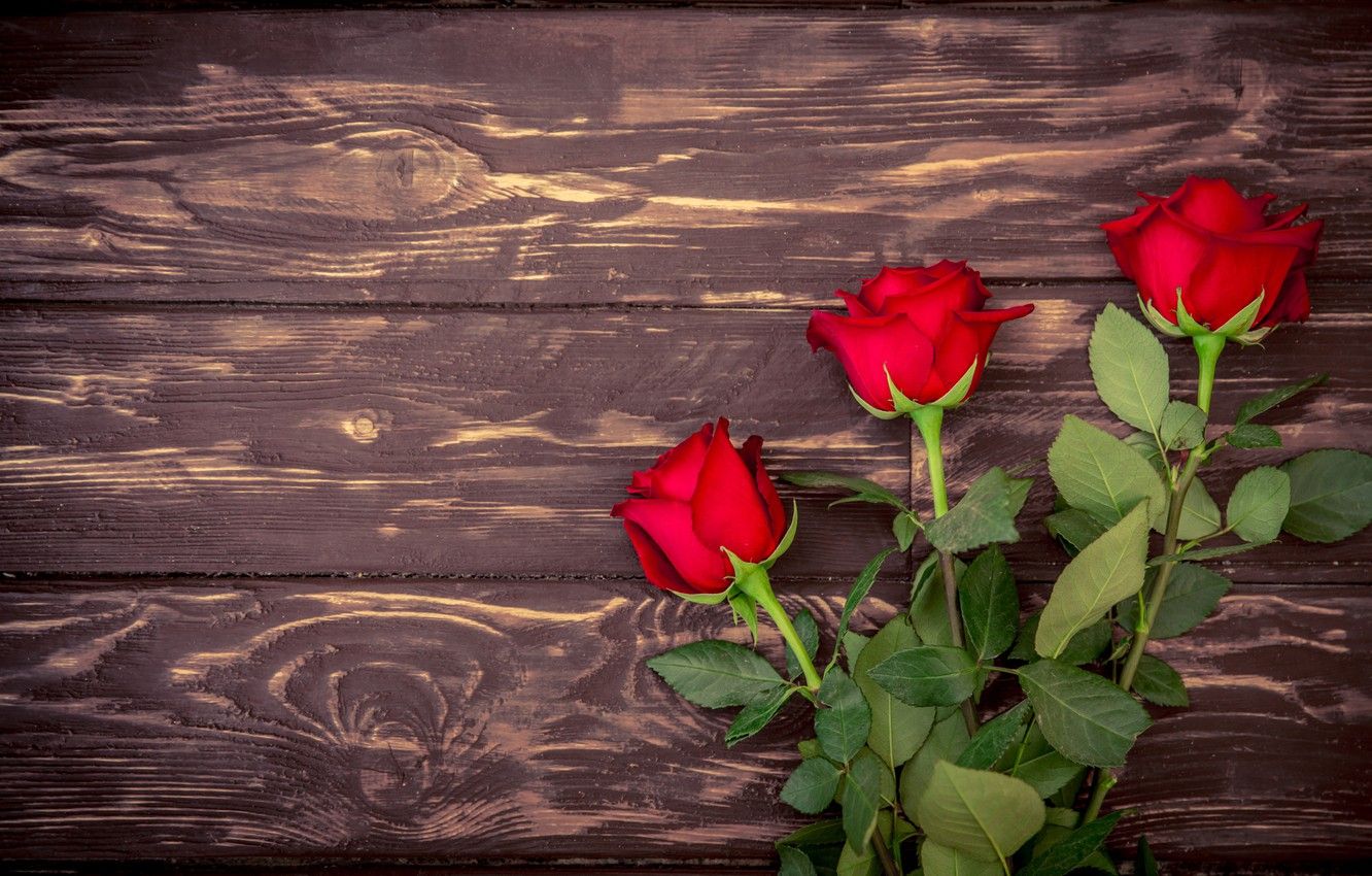 Roses Are Red Wallpapers Wallpaper Cave