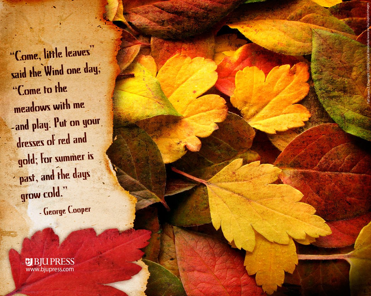Autumn Sayings Wallpapers Wallpaper Cave