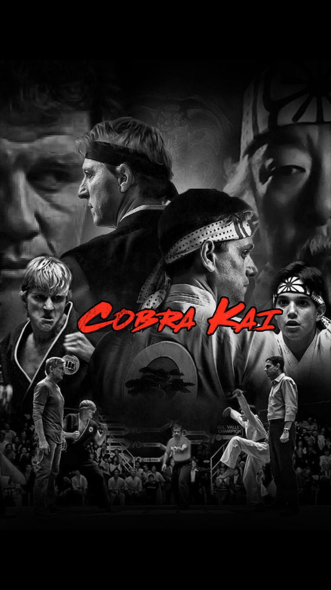 Cobra Kai Logo Wallpapers Wallpaper Cave