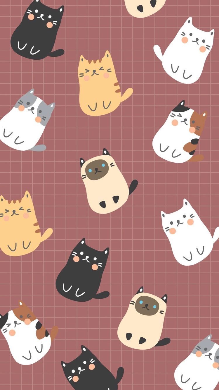 Cartoon Cat Mobile Wallpapers Wallpaper Cave